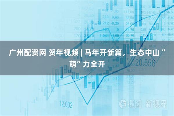 广州配资网 贺年视频 | 马年开新篇，生态中山“萌”力全开